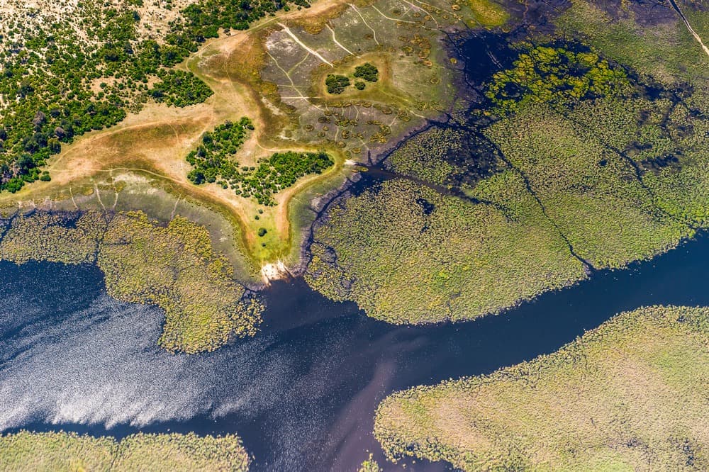 Okavango-Delta