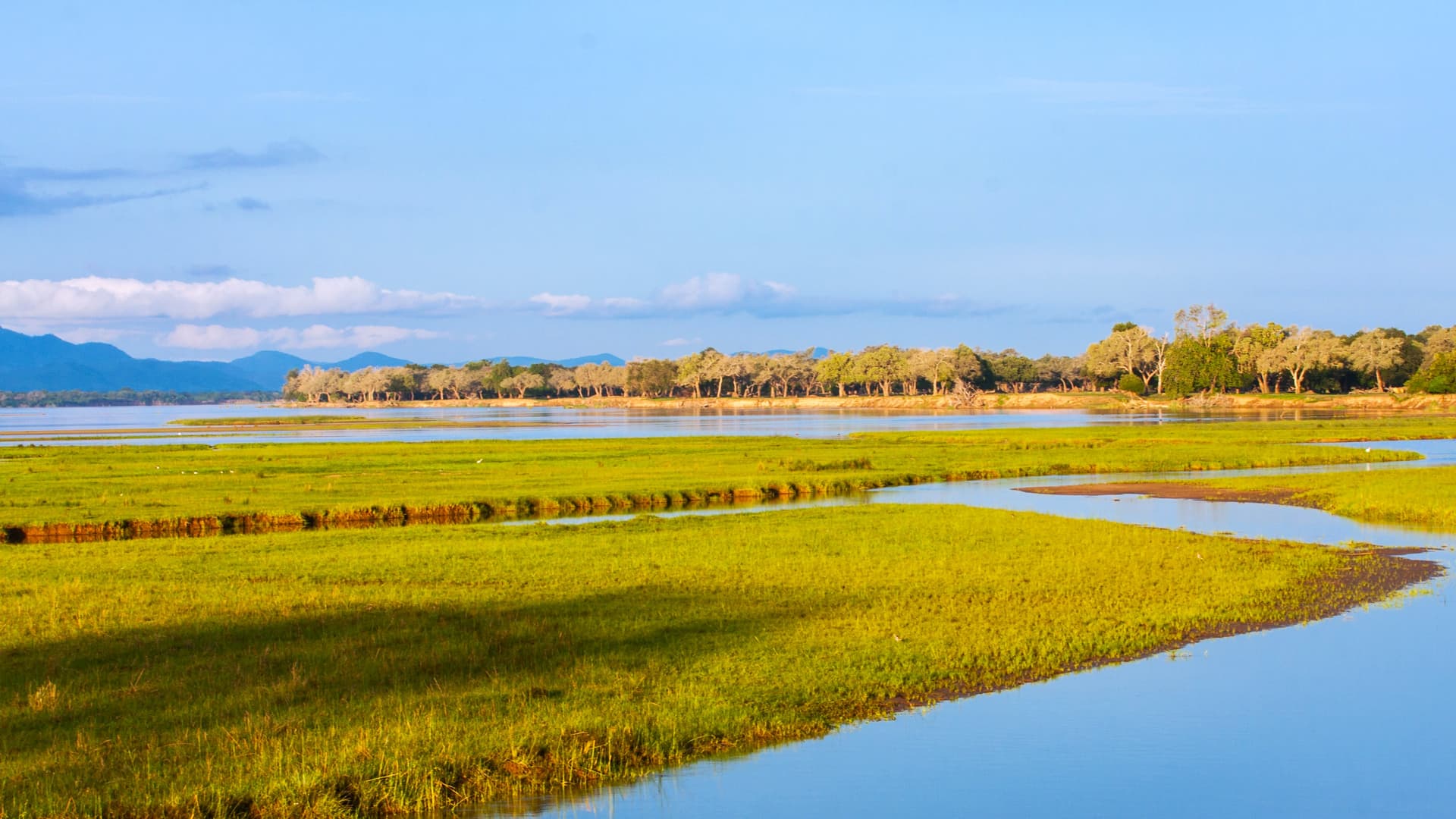 Liuwa Plain und wilder Westen